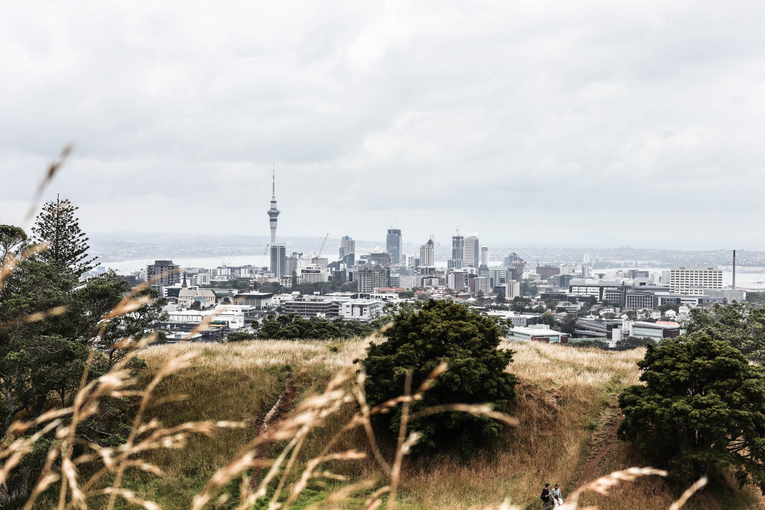 Auckland City Skylines